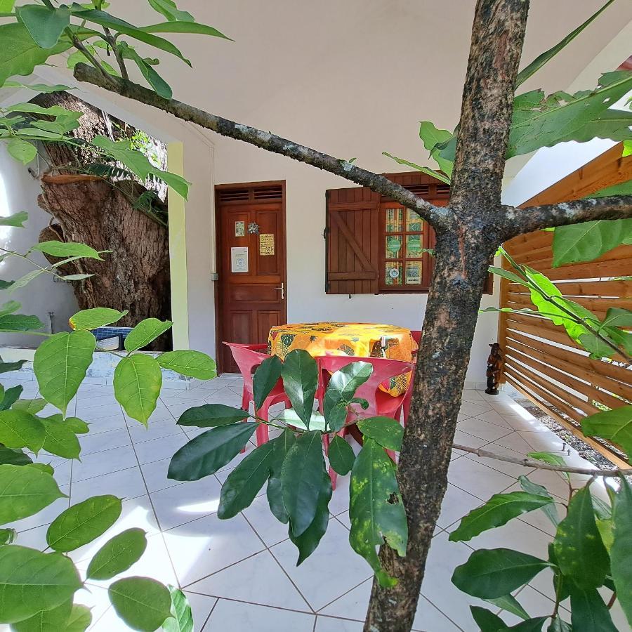 Residence Les Manguiers Pointe-Noire Bagian luar foto