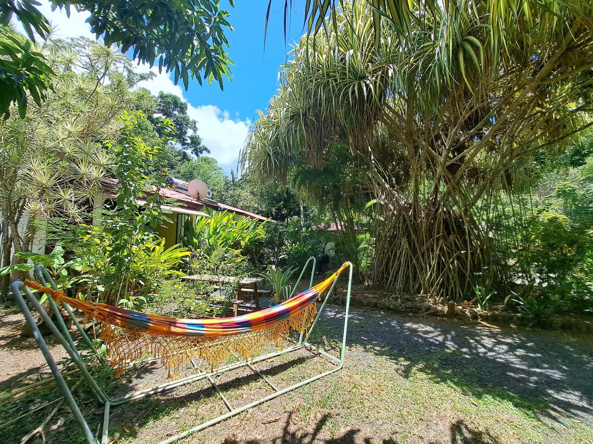 Residence Les Manguiers Pointe-Noire Bagian luar foto