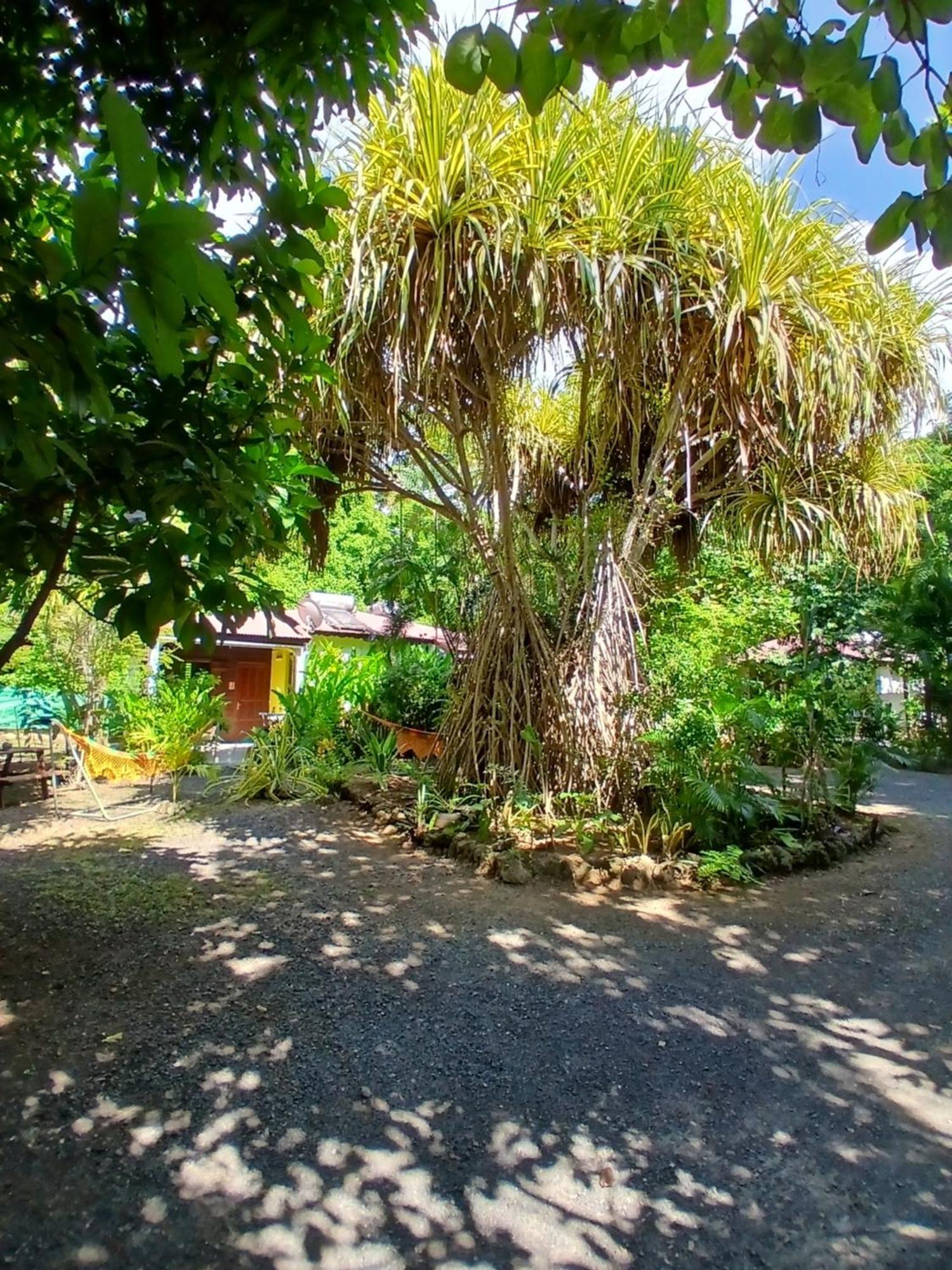 Residence Les Manguiers Pointe-Noire Bagian luar foto