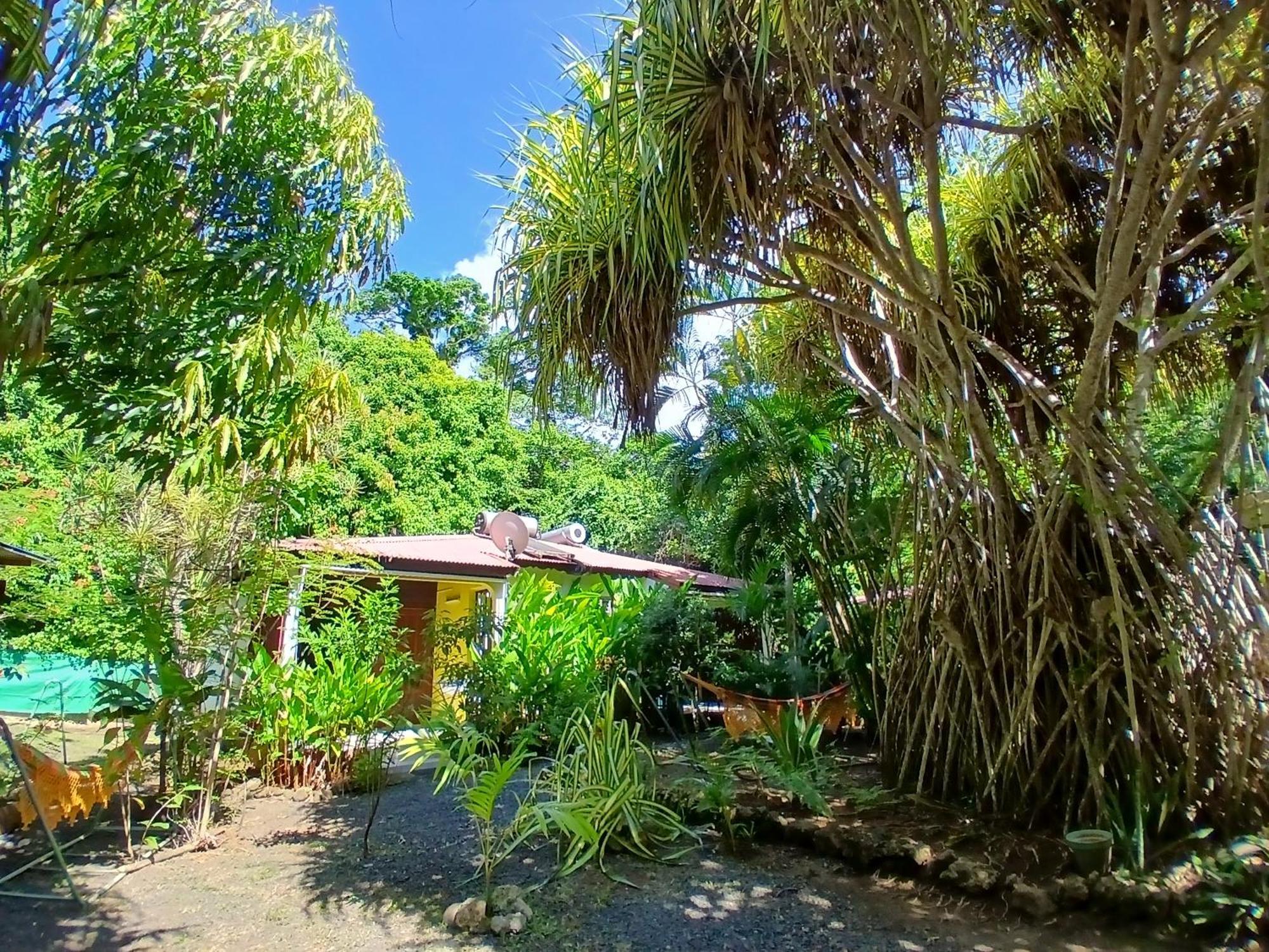Residence Les Manguiers Pointe-Noire Bagian luar foto