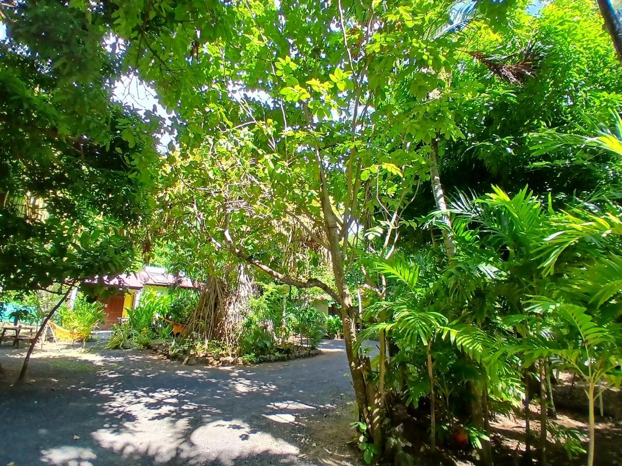 Residence Les Manguiers Pointe-Noire Bagian luar foto