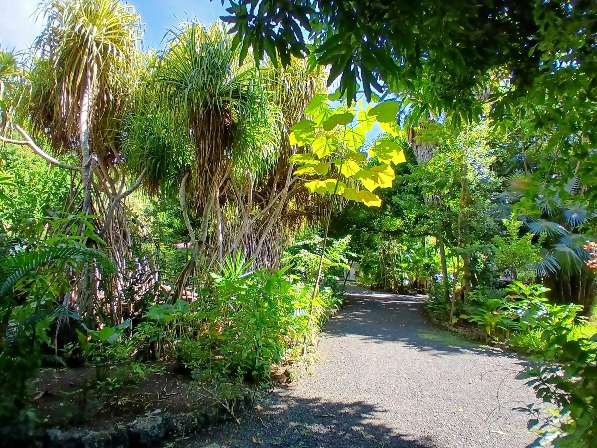 Residence Les Manguiers Pointe-Noire Bagian luar foto