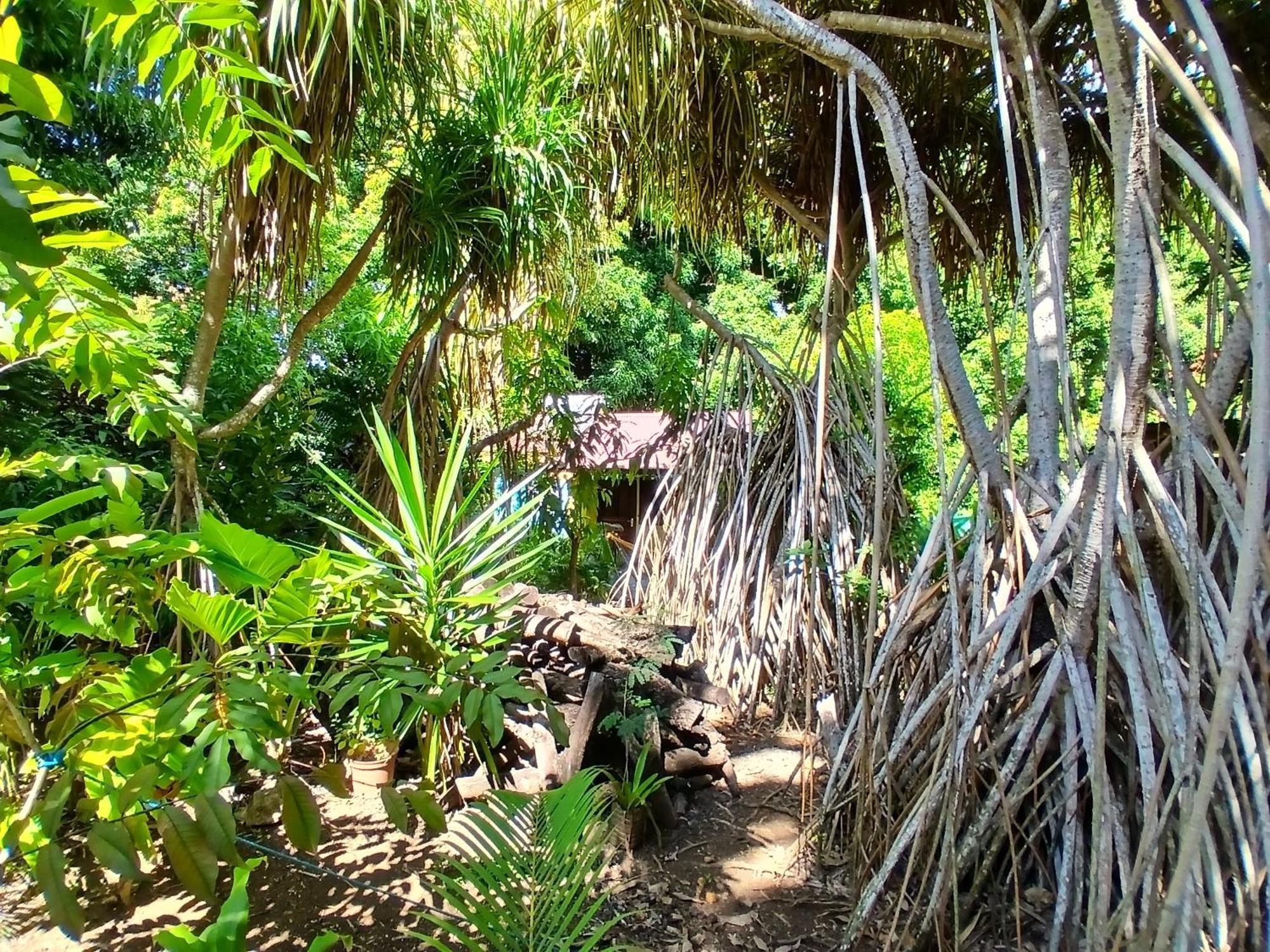 Residence Les Manguiers Pointe-Noire Bagian luar foto