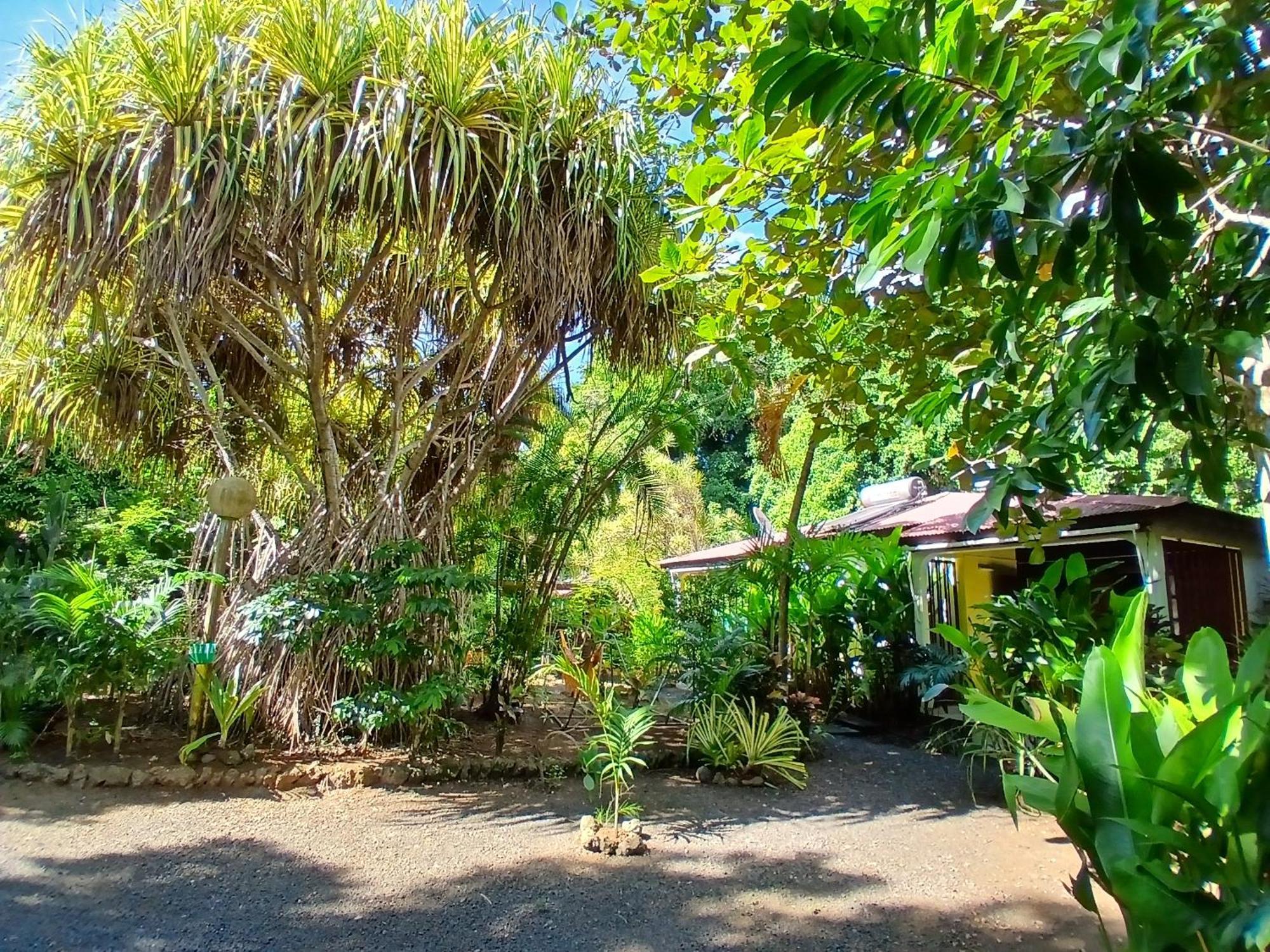 Residence Les Manguiers Pointe-Noire Bagian luar foto