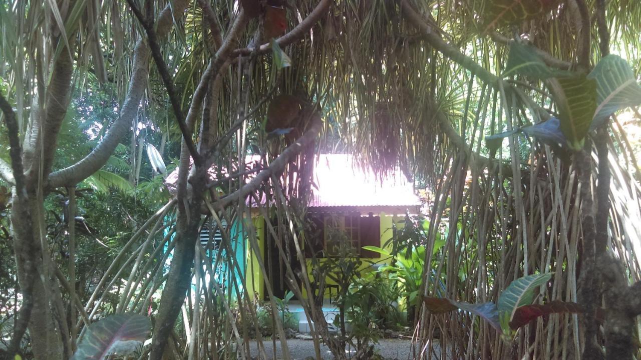 Residence Les Manguiers Pointe-Noire Bagian luar foto